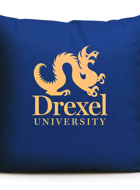 德雷塞尔大学纪念品周边美国名校留学沙发抱枕Drexel University