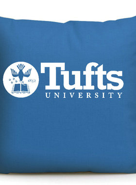 塔夫茨大学纪念品美国留学礼品沙发抱枕Tufts University周边