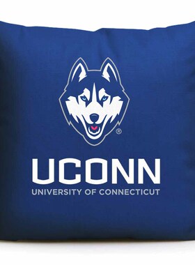 康涅狄格大学UConn纪念品周边定制美国名校沙发靠垫靠枕抱枕
