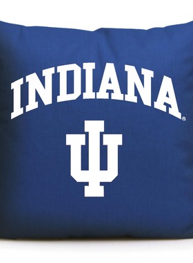 印第安纳大学纪念品Indiana University周边美国名校沙发靠枕抱枕