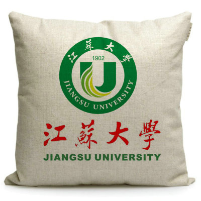 江苏大学纪念品布艺沙发抱枕定制