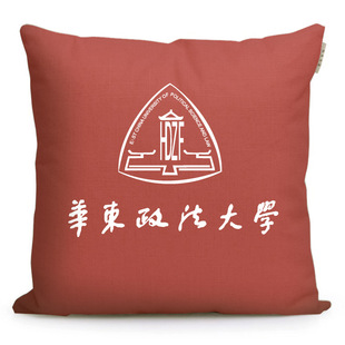 华东政法大学纪念品沙发抱枕定制送学生文创礼品周边靠枕午睡枕头
