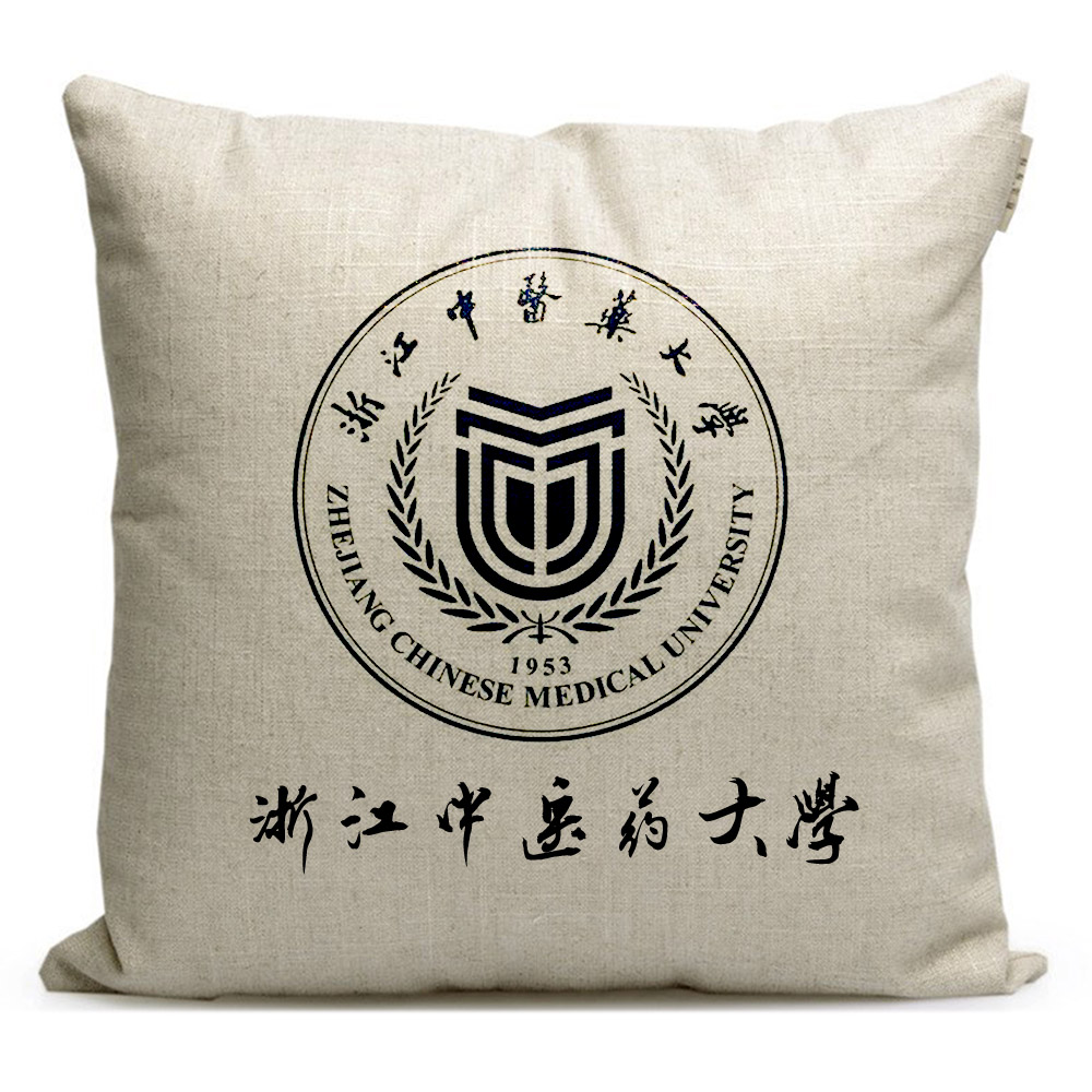 浙江纪念品学校沙发抱枕腰靠垫