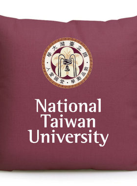 台湾大学纪念品台大周边座椅靠枕