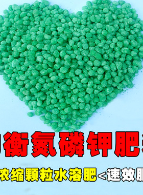 绿色水溶肥】大于推荐春夏秋季快速生长期肥料月季所需养分买2送1