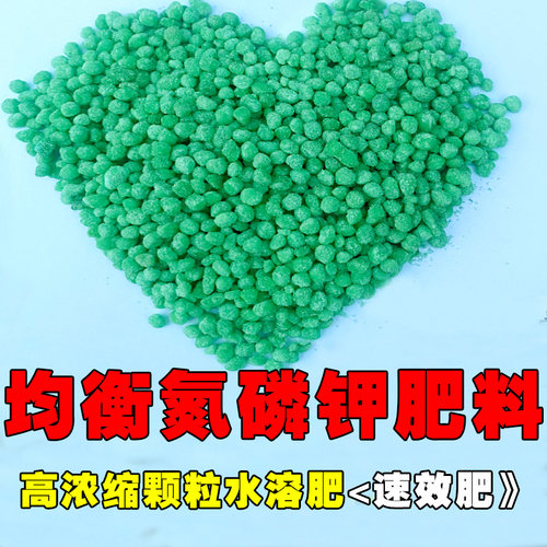 绿色水溶肥】大于推荐春夏秋季快速生长期肥料月季所需养分买2送1