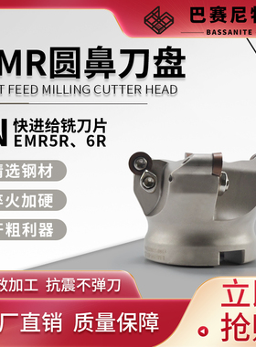 EMR5R圆鼻铣刀盘 快进给铣削 RPMT10T3 R5牛鼻刀 平面铣开粗刀盘