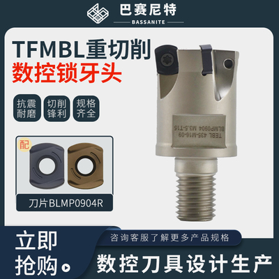 锁牙式刀头TFMBL快进给深腔加工