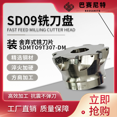 SD09舍弃式抗震加硬淬火铣刀杆