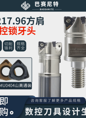 R217.96方肩90°锁牙头快进给硬加工涂层双面六角WNMU040304刀片