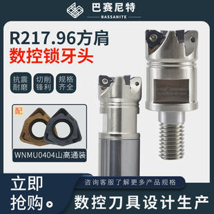 R217.96方肩90°锁牙头快进给硬加工涂层双面六角WNMU040304刀片