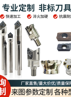 定制非标铣刀杆数控机夹刀具铣刀盘防震刀杆/铣刀片/锁牙刀头定做
