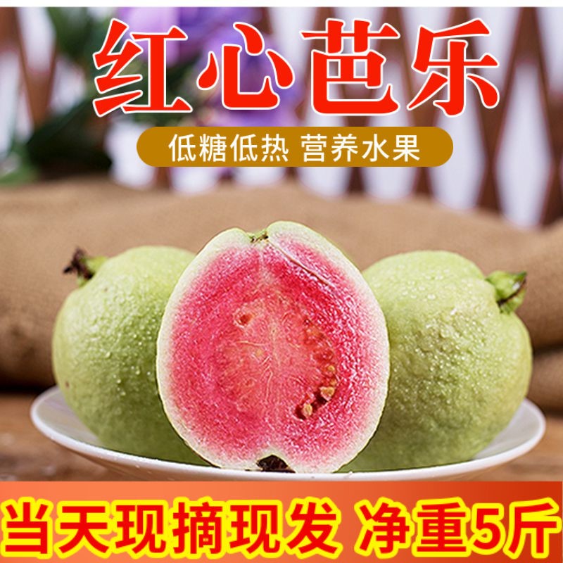【送酸梅粉】现摘福建红心芭乐新鲜水果低糖低热红肉番石榴鸡屎果