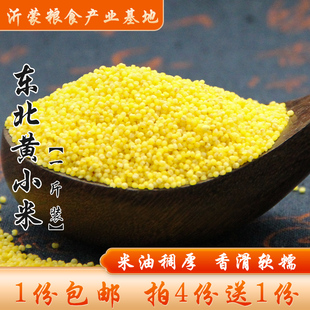 东北小米黄小米熬粥小黄米月子米米脂杂粮食500g装 4份送1份