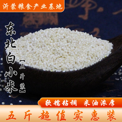 东北白小米5斤装熬粥月子