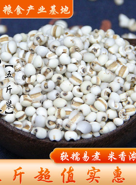 【5斤装】贵州小薏米仁新薏仁米小苡仁五谷杂粮粗粮食5斤2500g