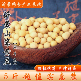 沂蒙黄豆笨黄豆黄豆打豆浆生豆类杂粮大豆粮食 5斤装