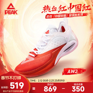 匹克态极维金斯AW2热血篮球鞋男专业实战球鞋碳板运动鞋官方正品