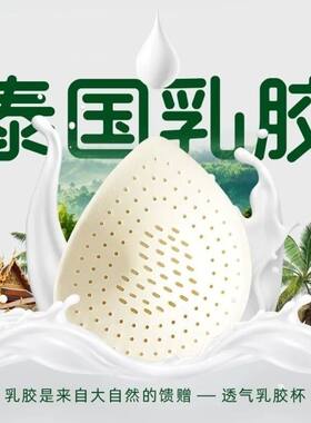 乳胶胸垫插片运动内衣泳衣胸垫薄款聚拢透气天然泰国瑜伽文胸垫片