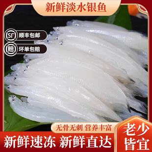 苏州特产太湖银鱼新鲜包邮冷冻非银鱼干宝宝辅食孕妇老人