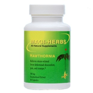 natural 现货美国善活素Magi all 早期疝qi1瓶 herbs Hawthornia