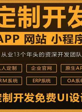 进销存 ERP  MES WMS 小程序软件定制开发苏州定制开发二次开发