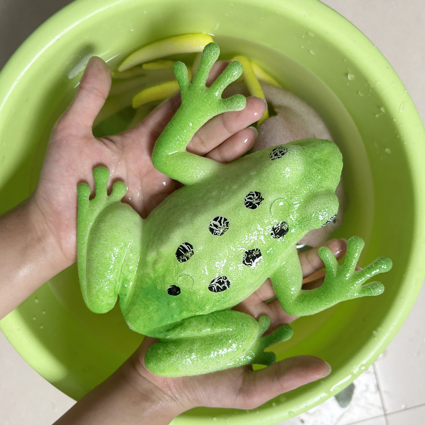 超大号青蛙泡水变大动物海洋吸水膨胀玩具水宝宝巨无霸海洋生物