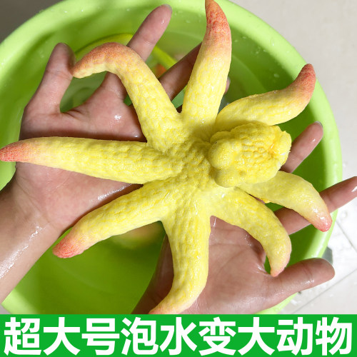 超大号泡水动物巨型泡水吸水变大海洋泡水膨胀玩具水宝宝巨无霸