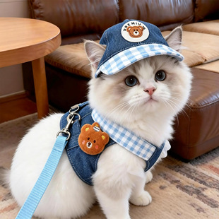 猫咪牛仔背带裤套装小型犬比熊卡通帽子牵引绳户外夏季外出拍照