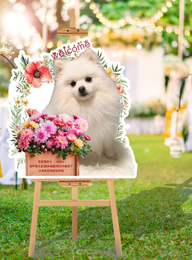 摇头宠物婚礼迎宾立牌抖音小红书结婚订婚猫咪迎宾牌卡通kt板定制