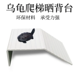 Черепаха с черепахи