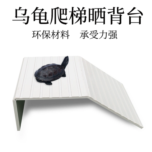 Черепаха с черепахи