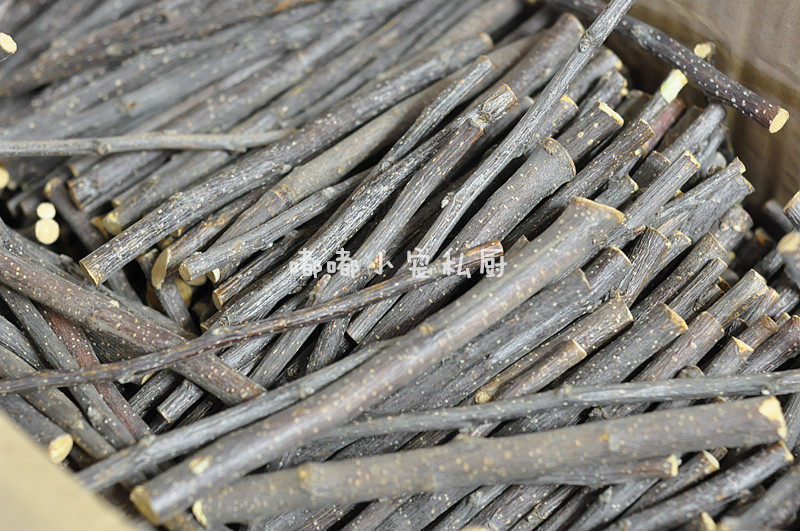 龙猫豚鼠仓鼠兔子磨牙苹果枝 磨牙零食 预防前牙过长,宠物/宠物食品及用品,玩具/造景装饰,淘宝优惠券,粉丝福利购,淘宝优惠卷