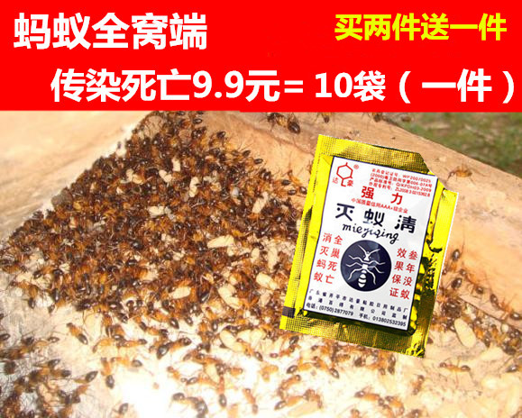 灭蚂蚁药家用达豪杀蚂蚁剂灭蚁饵剂除红蚂蚁粉灭蚁清杀虫全窝端