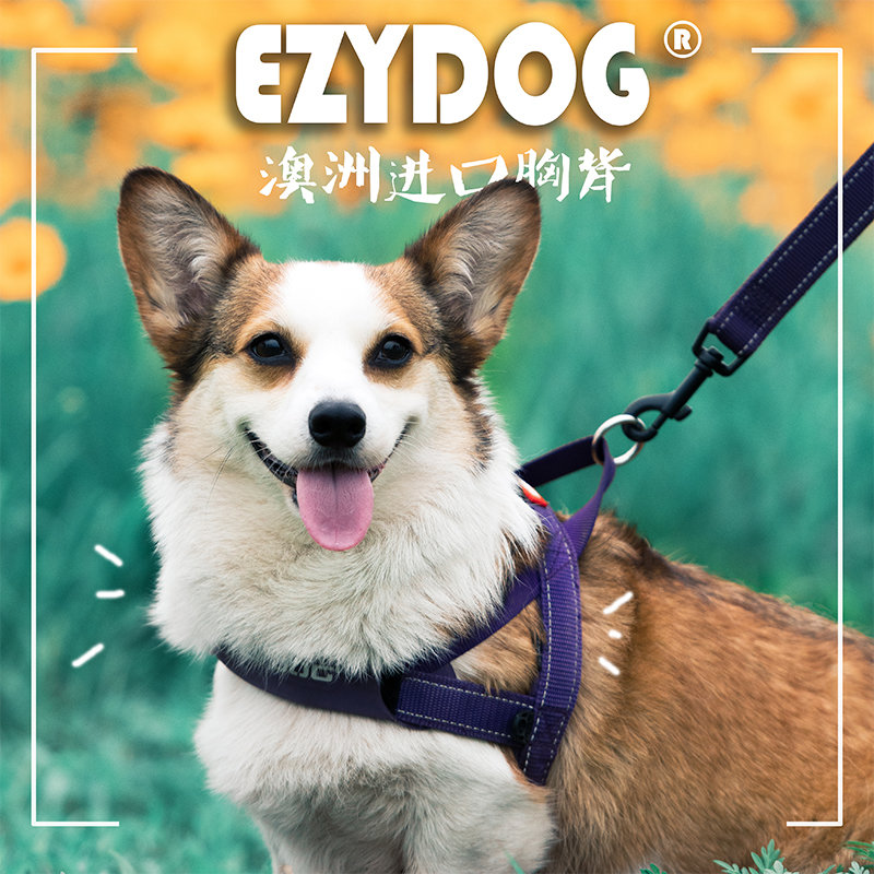 【自用推荐】穿戴只需2秒！Ezyd...