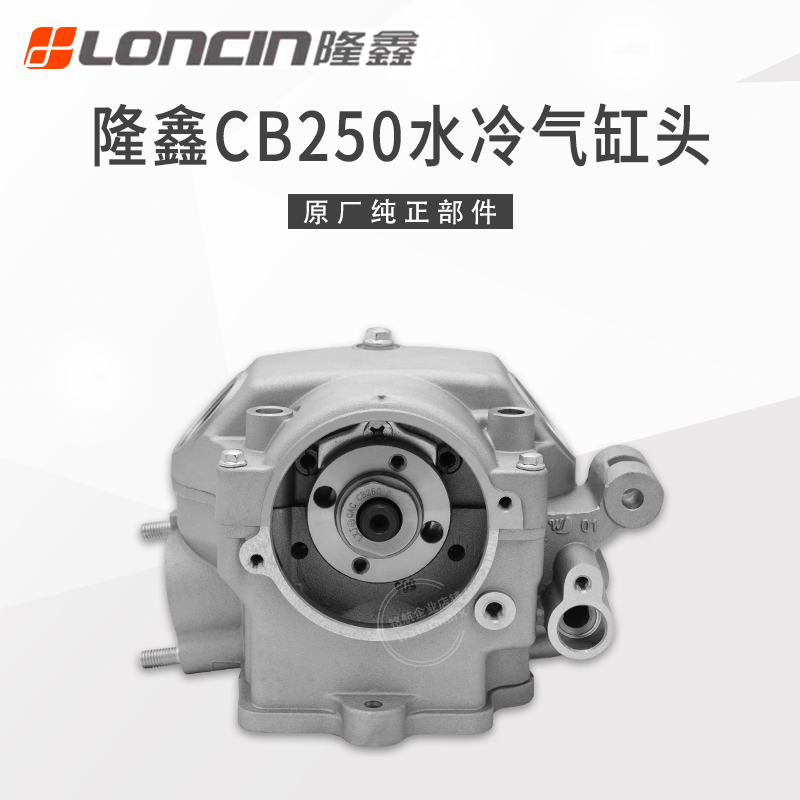 隆鑫CB250水冷发动机气缸头总成