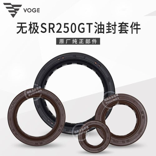 无极SR250GT发动机全套油封