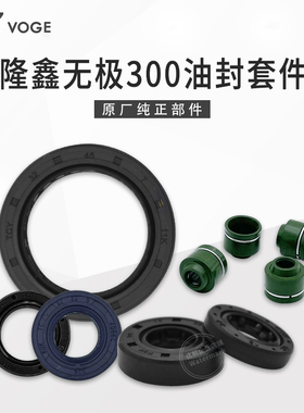 VOGE无极300R RR AC GY DS CR6黄河自由隆鑫YF300发动机油封全套