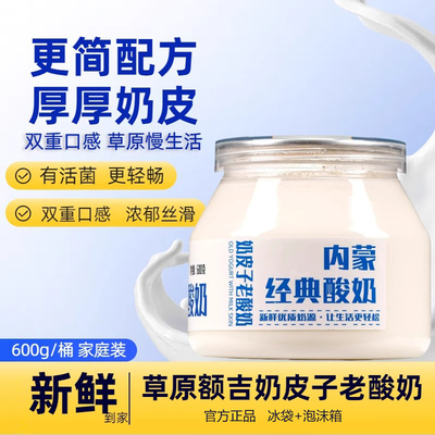 草原额吉奶皮子酸奶2罐内蒙古产