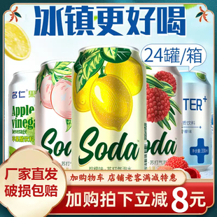 24瓶整箱無糖飲料0卡汽水soda蘇打氣泡水 名仁蘇打水氣泡水330ml