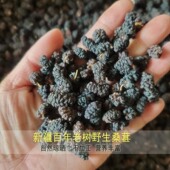 2025年新疆无硫老树野生养生桑葚干泡水泡酒泡茶自然晾晒不染色
