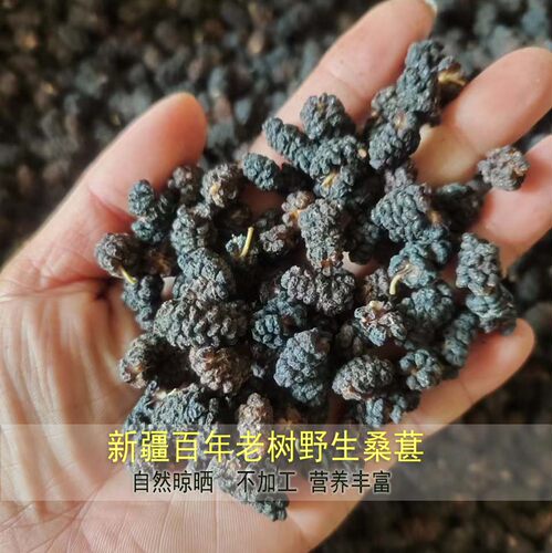 2026新货新疆无硫老树野生养生桑葚干泡水泡酒泡茶自然晾晒不染色
