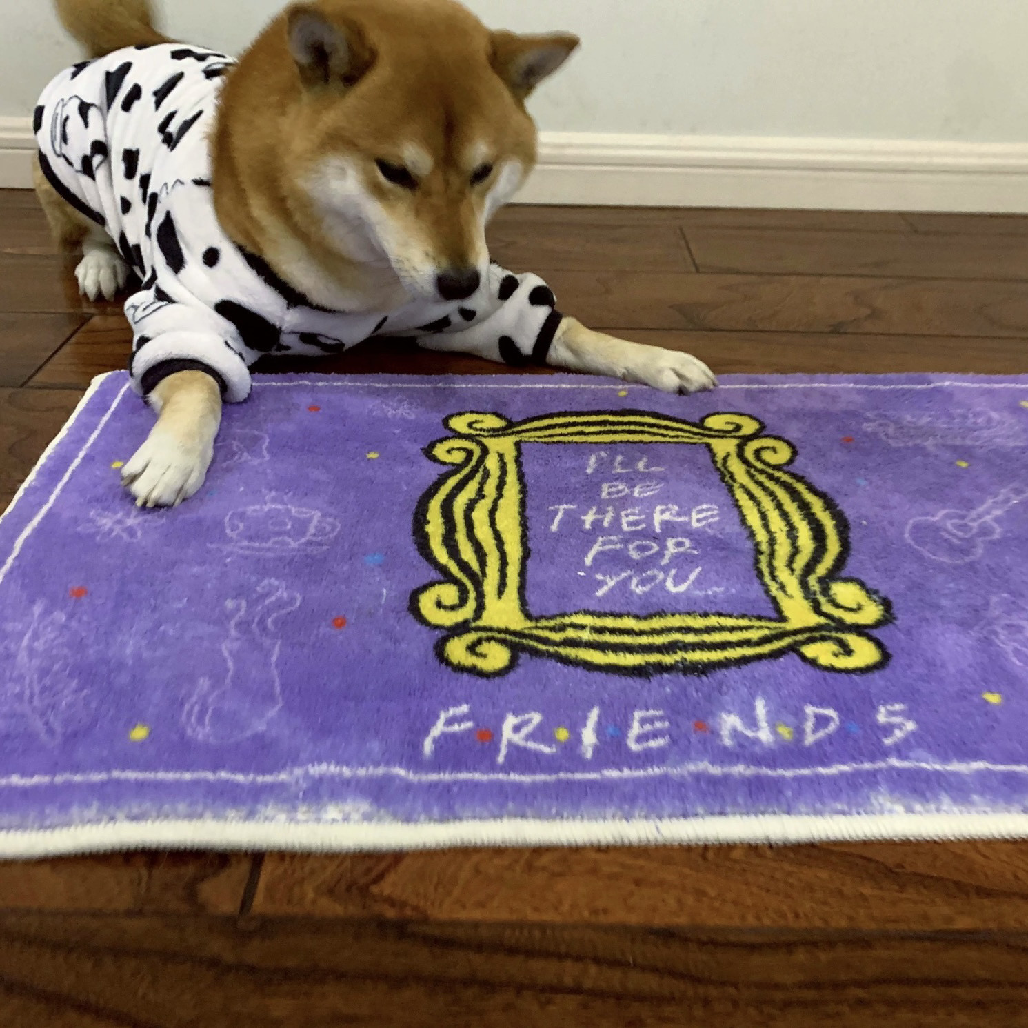 老友记紫色植绒仿羊绒地毯