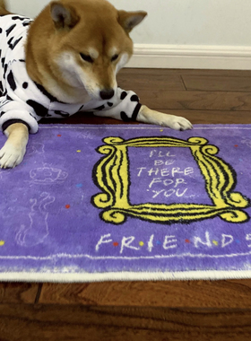 老友记周边相框Iwillbethereforyou紫色仿羊绒地毯地垫地毯床边毯