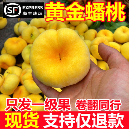 现货黄蟠桃黄金蟠桃新鲜水果山东蒙阴时令扁黄桃应季孕妇毛蟠桃子