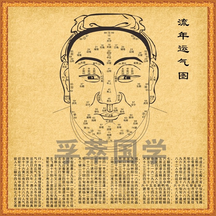 防褪色水潮玄关客厅走廊新中式装饰画易经流年百岁面相图学习文化