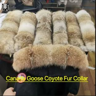 Collars for Canada Custom Down Fur Goose Jackets Coyote