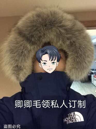 定做北面羽绒服郊狼毛领单卖卿卿