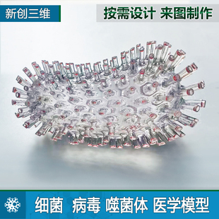 细菌病毒透明模型医学医疗定制噬菌体腺3D打印摆件礼物教学教具
