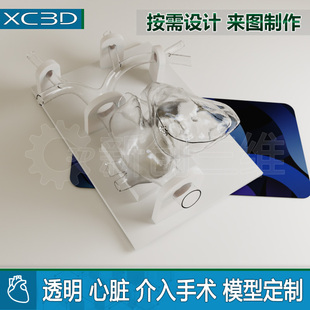 3D打印定制可拆卸透明心肺血管心脏介入手术模型射频消融术封堵术